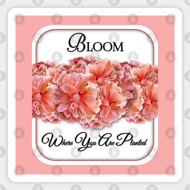 Bloom Where You Are Planted Magnet by MaryLinH